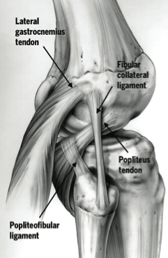 The Postero-Lateral Corner, the Dark side of the Knee… A guest article by  Richard Norris – The Sports Physio